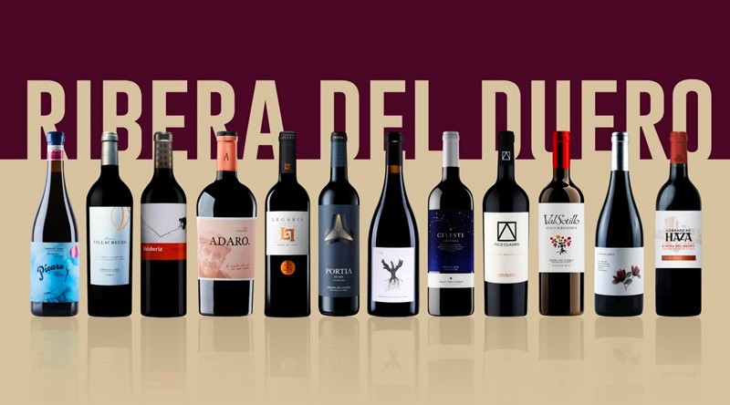 Conocemos los vinos de Ribera del Duero