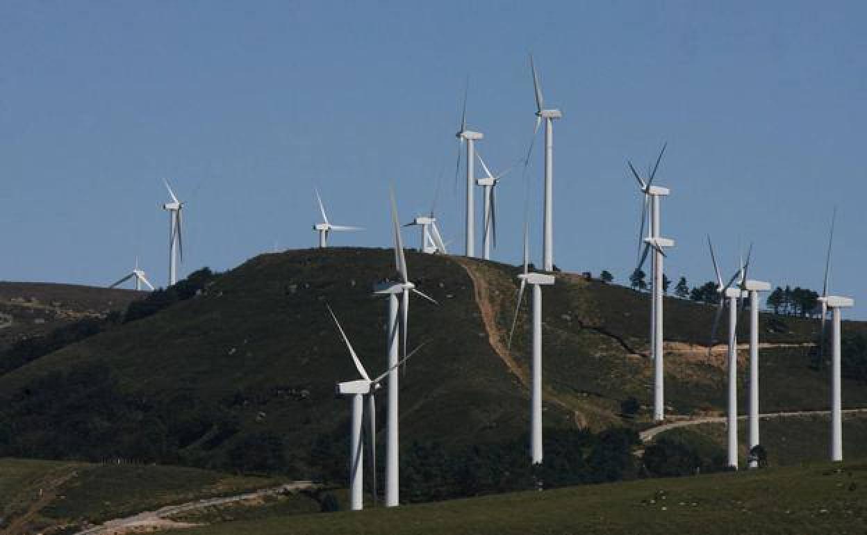 ¿Adiós a la Sierra del Escudo?