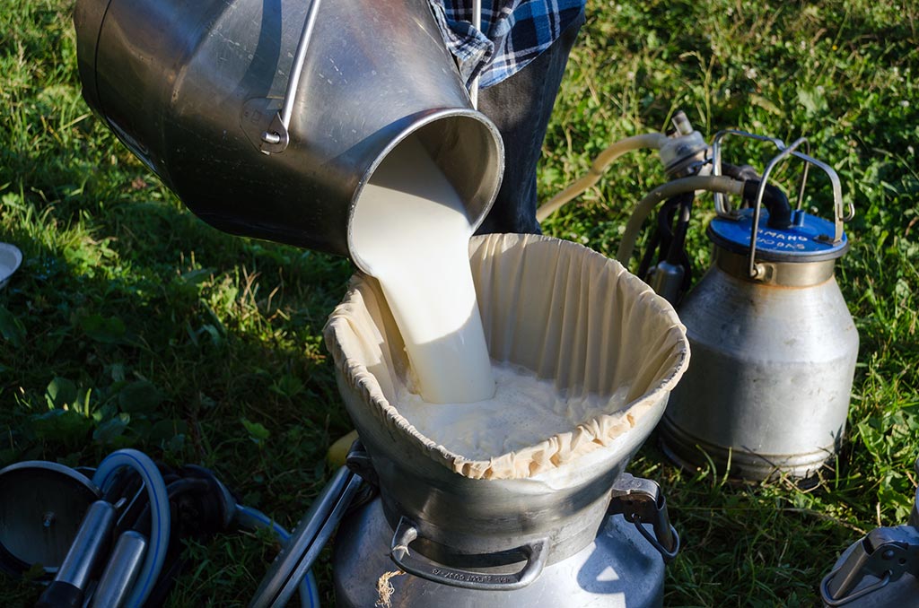 Los ganaderos cántabros protestan hoy para exigir unos precios justos por la leche